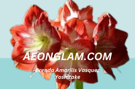 Brenda Amarilis Vasquez Yoshitake